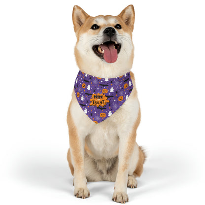 Trick or Treat Halloween Pet Bandana Collar