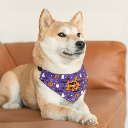 Trick or Treat Halloween Pet Bandana Collar