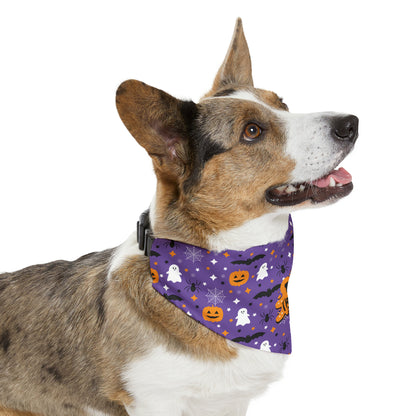 Trick or Treat Halloween Pet Bandana Collar