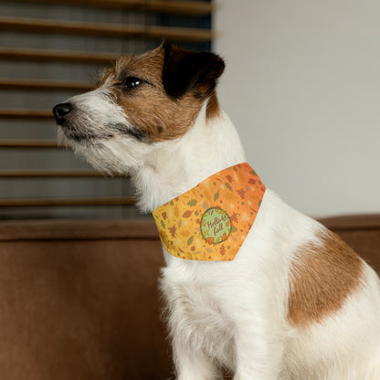 Hello Fall Pet Bandana Collar