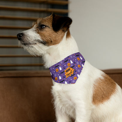 Trick or Treat Halloween Pet Bandana Collar