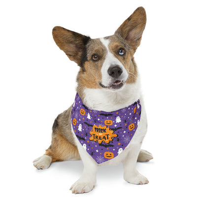 Trick or Treat Halloween Pet Bandana Collar