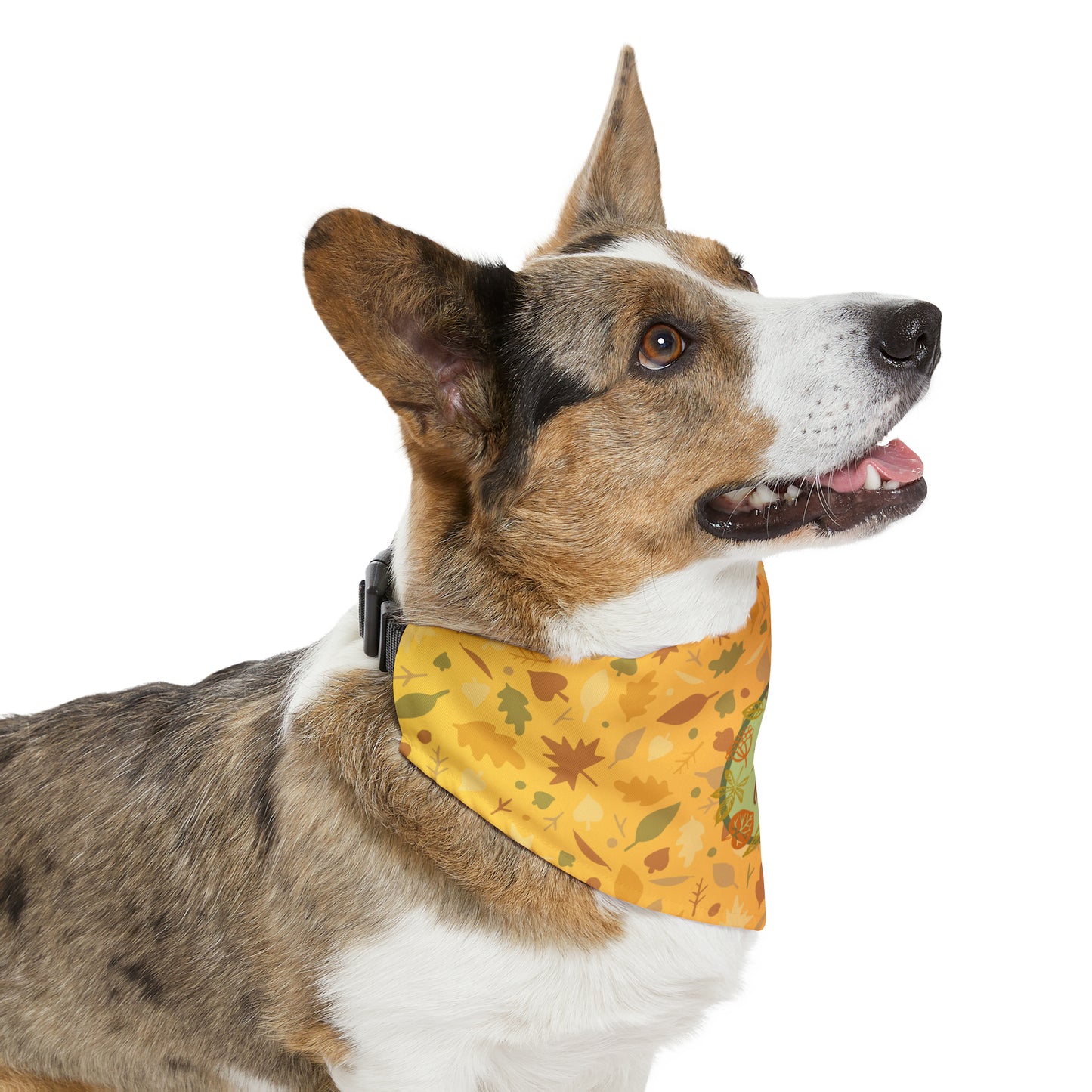 Hello Fall Pet Bandana Collar