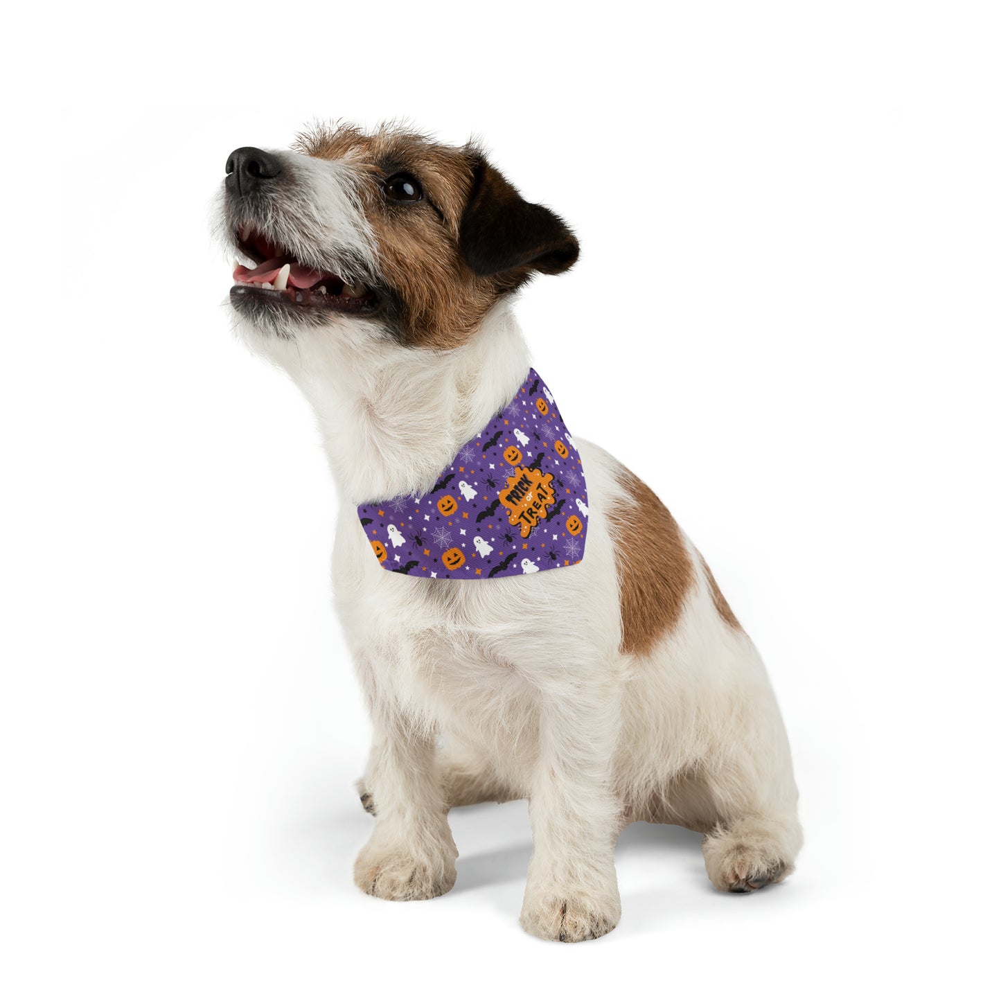 Trick or Treat Halloween Pet Bandana Collar