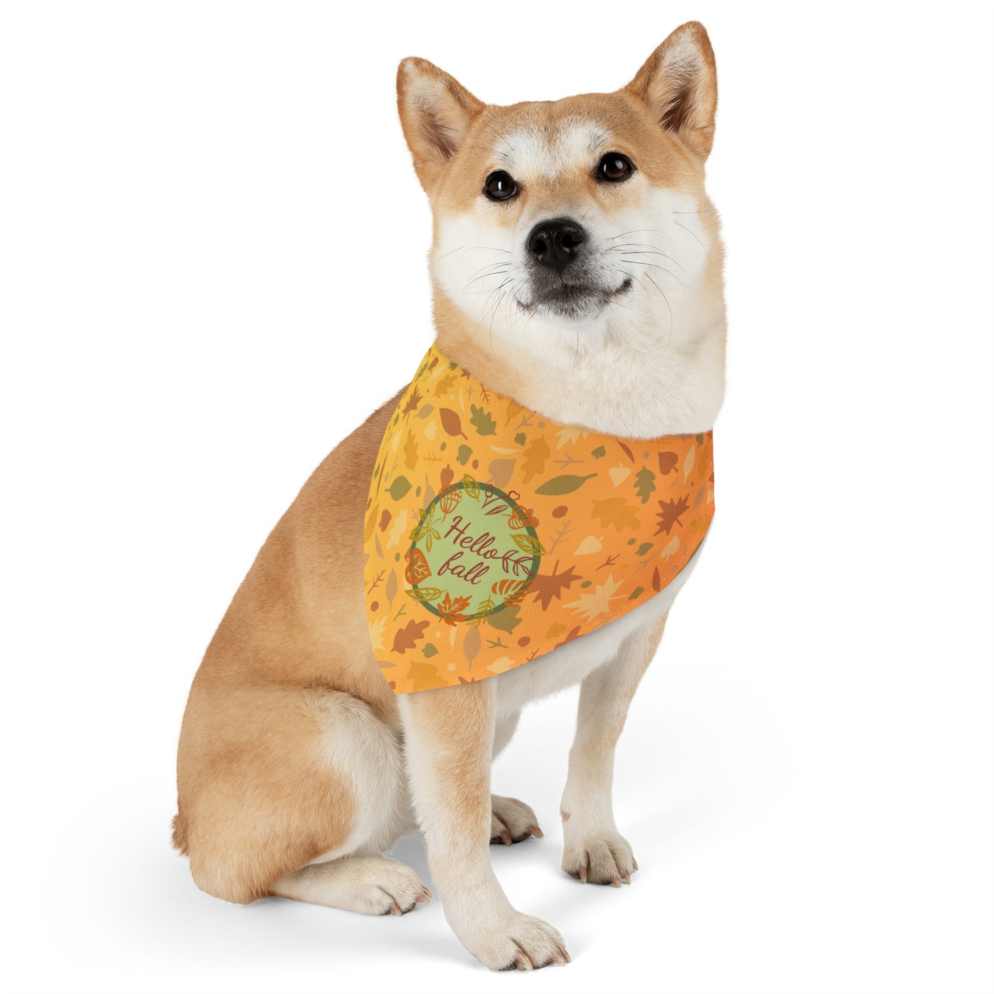 Hello Fall Pet Bandana Collar