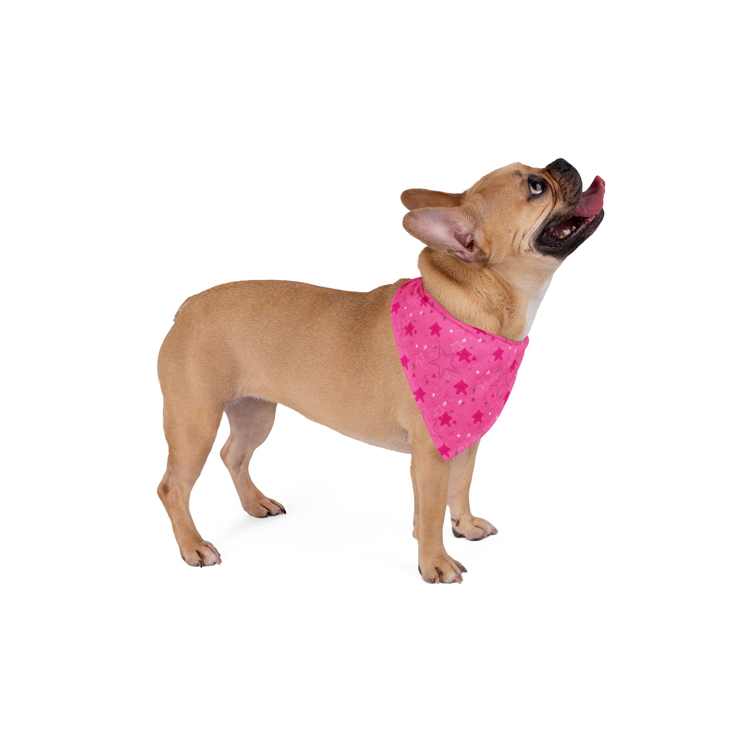 Starry Pink Pet Bandana