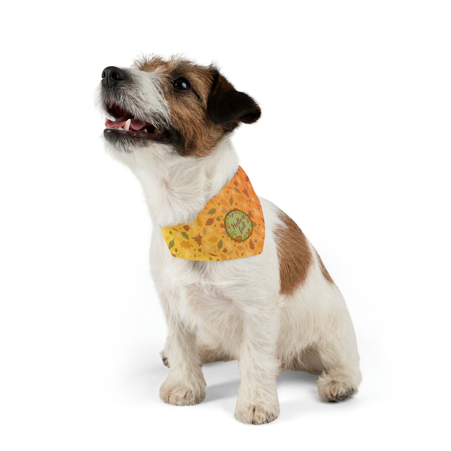 Hello Fall Pet Bandana Collar